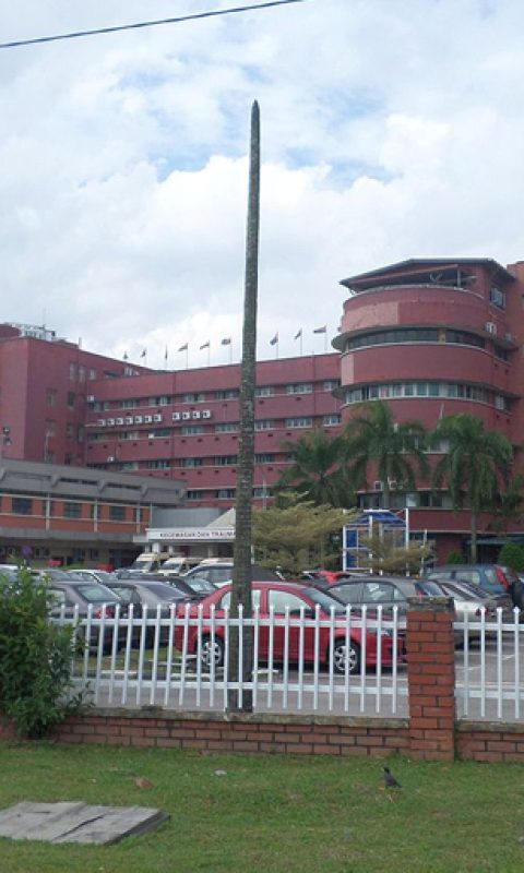 HSA (Hospital Sultanah Aminah), Johor